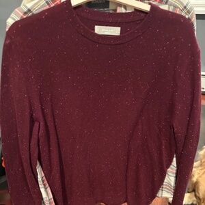 EVERLANE Cashmere long sleeved Men's Sweater